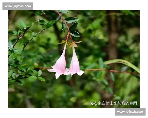 白教视角：滔搏八强之路，每一秒都攥心